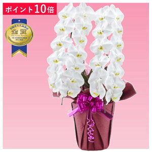 y|Cg10{zӒ 2{ F j ړ]j JXj ACj J@j JƏj Nj ij ސEj Ij a җ Ď   䋟     