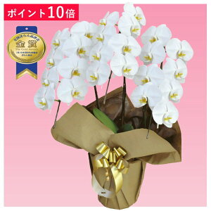 y|Cg10{zӒ 3{ F j ړ]j JXj ACj J@j JƏj Nj ij ސEj Ij a җ Ď   䋟     