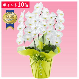 y|Cg10{zӒ 3{ F j ړ]j JXj ACj J@j JƏj Nj ij ސEj Ij a җ Ď   䋟     