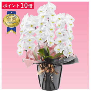 y|Cg10{zӒ 3{ F j ړ]j JXj ACj J@j JƏj Nj ij ސEj Ij a җ Ď   䋟     