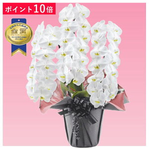 y|Cg10{zӒ 3{ F j ړ]j JXj ACj J@j JƏj Nj ij ސEj Ij a җ Ď   䋟     