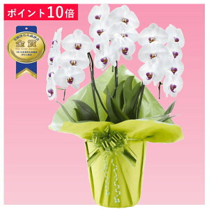 y|Cg10{zӒ 3{ ԃbv j ړ]j JXj ACj J@j JƏj Nj ij ސEj Ij a җ Ď    蕨 Yn ʐ^