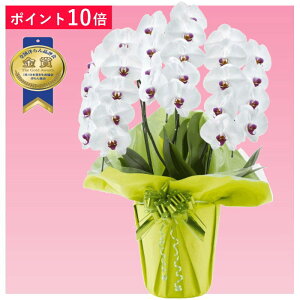 y|Cg10{zӒ 3{ ԃbv j ړ]j JXj ACj J@j JƏj Nj ij ސEj Ij a җ Ď    蕨 Yn ʐ^