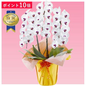 y|Cg10{zӒ 3{ ԃbv j ړ]j JXj ACj J@j JƏj Nj ij ސEj Ij a җ Ď    蕨 Yn ʐ^