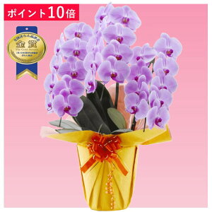 y|Cg10{zӒ 3{ sNF j ړ]j JXj ACj J@j JƏj Nj ij ސEj Ij a җ Ď    蕨 Yn ʐ^