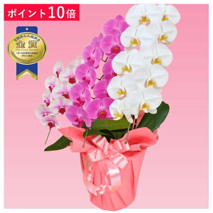 y|Cg10{zӒ 3{ ~bNX ԃbv sNF F j ړ]j JXj ACj J@j JƏj Nj ij ސEj Ij a җ Ď   