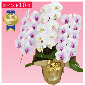 y|Cg10{zӒ 3{ ~bNX ԃbvF F j ړ]j JXj ACj J@j JƏj Nj ij ސEj Ij a җ Ď    