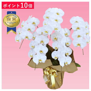 y|Cg10{zӒ 5{ F j ړ]j JXj ACj J@j JƏj Nj ij ސEj Ij a җ Ď   䋟     