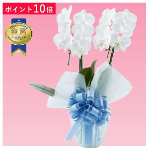 y|Cg10{z~fBӒ 2{ F     ݉ V~ ~ ~ { ފ @ d  Ij a җ Ď    蕨 Yn ʐ^M