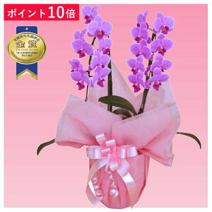 y|Cg10{z~fBӒ 2{ sNF j ړ]j JXj ACj J@j JƏj Nj ij ސEj Ij a җ Ď    蕨 Yn