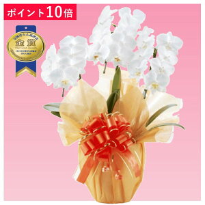 y|Cg10{z~fBӒ 3{ F j ړ]j JXj ACj J@j JƏj Nj ij ސEj Ij a җ Ď    蕨 Yn 