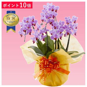 y|Cg10{z~fBӒ 5{ sNF j ړ]j JXj ACj J@j JƏj Nj ij ސEj Ij a җ Ď    蕨 Yn