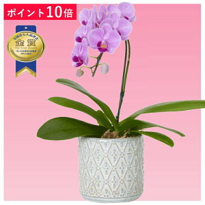 yy|Cg10{z~fBӒ 1{ sNF I[o