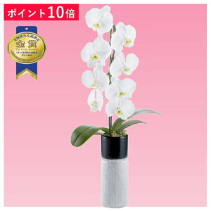 y|Cg10{zӒ 1{ F g[Vo[ j ړ]j JXj ACj J@j JƏj Nj ij ސEj a җ Ď  j    