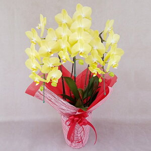 ~fBӒ ֌n CCg 3{ F CG[ j ړ]j JXj ACj J@j JƏj Nj ij ސEj Ij a җ Ď   䋟