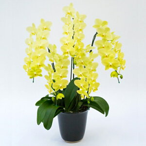 ~fBӒ ֌n CCg 5{ F CG[ j ړ]j JXj ACj J@j JƏj Nj ij ސEj Ij a җ Ď   䋟