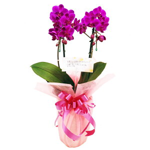 ~fB Ӓ Vg 2{ sN j ړ]j JXj ACj J@j JƏj Nj ij ސEj Ij a җ Ď   䋟 Yn ʐ^M 