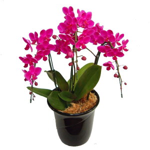 ~fB Ӓ Vg 3{ j ړ]j JXj ACj J@j JƏj Nj ij ސEj Ij a җ Ď   䋟 Yn ʐ^M D b