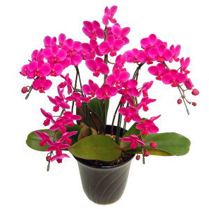 ~fB Ӓ Vg 5{ j ړ]j JXj ACj J@j JƏj Nj ij ސEj Ij a җ Ď   䋟 Yn ʐ^M D b