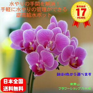 y|Cg10{z}CNӒ 1{ sNn |bg j ړ]j JXj ACj J@j JƏj Nj ij ސEj a җ Ď  j 