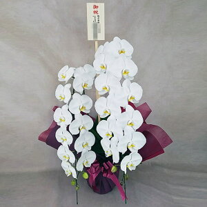 Ӓ 2{   ؎D j ړ]j JXj ACj J@j JƏj Nj ij ސEj Ij a җ Ď   䋟    t[Mtg