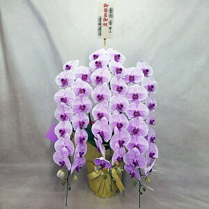 Ӓ 3{  sN ؎D P j ړ]j JXj ACj J@j JƏj Nj ij ސEj Ij a җ Ď   䋟     