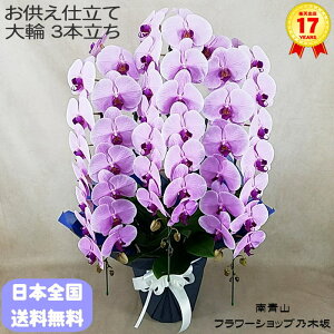 Ӓ 3{  sN 䋟   j ړ]j JXj ACj J@j JƏj Nj ij ސEj Ij a җ Ď   t[Mtg 