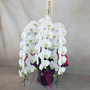 Ӓ 3{   ؎D j j ړ]j JXj ACj J@j JƏj Nj ij ސEj Ij a җ Ď   䋟     蕨 