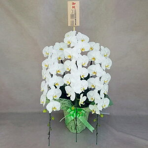 Ӓ 3{   j ړ]j JXj ACj J@j JƏj Nj ij ސEj Ij a җ Ď   䋟    t[Mtg  