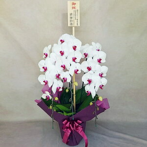 Ӓ 3{  ԃbv j ړ]j JXj ACj J@j JƏj Nj ij ސEj Ij a җ Ď   䋟     Yn 