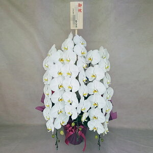 Ӓ 3{   ؎D j j ړ]j JXj ACj J@j JƏj Nj ij ސEj Ij a җ Ď   䋟     蕨 