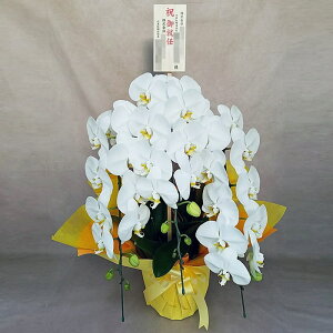 Ӓ 3{   ؎D AC j ړ]j JXj ACj J@j JƏj Nj ij ސEj Ij a җ Ď   䋟    Yn