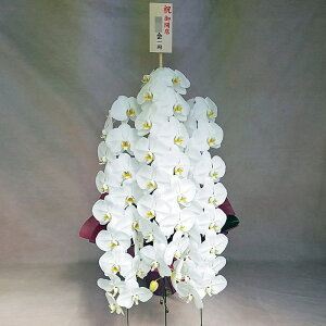 Ӓ 3{   Ӓ 3{ 25ց`32 sNF ؎D JX j ړ]j JXj ACj J@j JƏj Nj ij ސEj Ij a җ Ď  