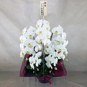 Ӓ  5{  j ړ]j JXj ACj J@j JƏj Nj ij ސEj Ij a җ Ď   䋟    Yn ʐ^M 