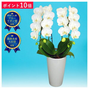 y|Cg10{z~fBӒ A}rX 2{  j ړ]j JXj ACj J@j JƏj Nj ij ސEj Ij a җ Ď   䋟  