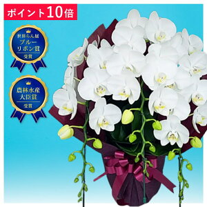 y|Cg10{z~fBӒ A}rX 3{ F j ړ]j JXj ACj J@j JƏj Nj ij ސEj Ij җ Ď   䋟   