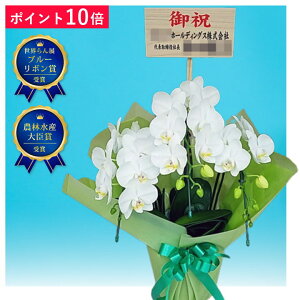 y|Cg10{z~fBӒ A}rX 3{ F j ړ]j JXj ACj J@j JƏj Nj ij ސEj Ij җ Ď   䋟   