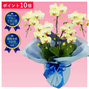 y|Cg10{z~fBӒ F Uc} 5{ j ړ]j JXj ACj J@j JƏj Nj ij ސEj Ij a җ Ď   䋟 