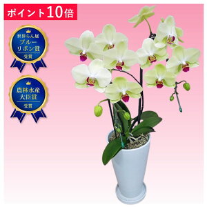 y|Cg10{z~fBӒ Uc} CG[ F 2{ TNX|bg j ړ]j JXj ACj J@j JƏj Nj ij ސEj a җ Ď  