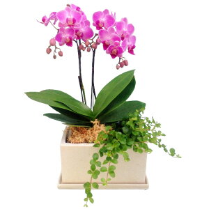 ~fB Ӓ 2{ Z sN pem 5.5 ϗt j ړ]j JXj ACj J@j JƏj Nj ij ސEj a җ Ď  j LO 