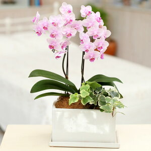 ~fB Ӓ 2{ sN pem 5.5 ϗt j ړ]j JXj ACj J@j JƏj Nj ij ސEj a җ Ď  j LO 