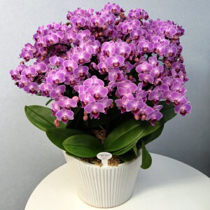 ~fB Ӓ 15{ sN 琢E 10픫 j ړ]j JXj ACj J@j JƏj Nj ij ސEj a җ Ď  j LO  