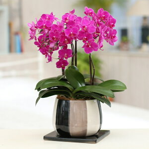 Ӓ 3{ sN mgR j ړ]j JXj ACj J@j JƏj Nj ij ސEj a җ Ď  j LO     