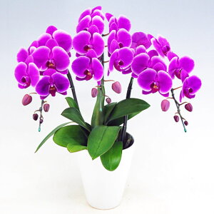 ~fB Ӓ 3{ sNn[ sN j ړ]j JXj ACj J@j JƏj Nj ij ސEj Ij a җ Ď   䋟    