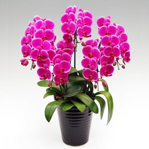 ~fB Ӓ 5{ sNn[ sN j ړ]j JXj ACj J@j JƏj Nj ij ސEj Ij a җ Ď   䋟    