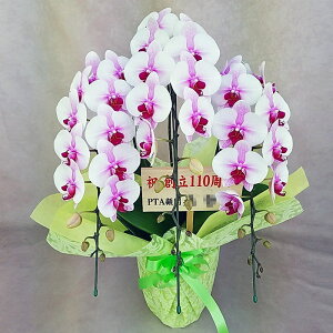 ~fB Ӓ  TNq 3{ ԃbv j ړ]j JXj ACj J@j JƏj Nj ij ސEj Ij a җ Ď   䋟 Yn