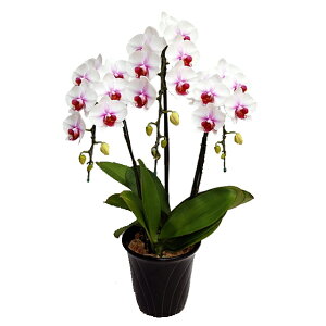 ~fB Ӓ  TNq 3{ԃbv j ړ]j JXj ACj J@j JƏj Nj ij ސEj Ij a җ Ď   䋟 Yn