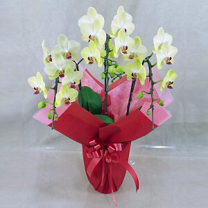 ~fB Ӓ 3{ Uc} CG[ j ړ]j JXj ACj J@j JƏj Nj ij ސEj Ij a җ Ď   䋟    