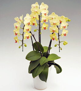 ~fB Ӓ 3{ Uc} CG[ j ړ]j JXj ACj J@j JƏj Nj ij ސEj Ij a җ Ď   䋟    