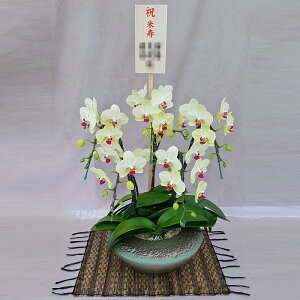 ~fB Ӓ 5{ Uc} a ܂ǂ CG[ Ď D j ړ]j JXj ACj J@j JƏj Nj ij ސEj Ij a җ Ď  